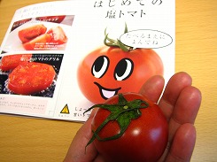 オイシックス（Oisix・おいしっくす）塩トマト　お取り寄せ